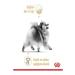 Royal Canin Pomeranian Adult Dog Food 1.5 Kg - Buy Online on GoSupps.com
