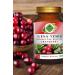 Gokcek Healing Cranberry Powder Extract 100 Gr. Glass Jar - Buy Online on GoSupps.com