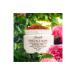 Fresh Rose Face Mask - Moisturizing Mask with Rose Essence 100 Ml - Buy Online on GoSupps.com