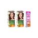 Garnier Natural Dark Blonde Color Naturals Set Paint 6n 2 Pieces