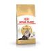Royal Canin Persian Adult Cat Food - 4 Kg - Buy Online on GoSupps.com