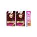 Palette Deluxe Set Wine Red Hair Dye 5-889 2 Pieces
