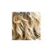 Prozinc Color 8.3 Blonde - Ammonia-Free Herbal Permanent Hair Dye - Buy Online on GoSupps.com