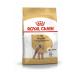Royal Canin Poodle Adult Dog Food 3 kg