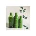 Ziaja Olive Oil Shower Gel 500ml - Buy Online on GoSupps.com