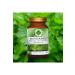 Gokcek Healing Parsley Powder Extract 90 Gr Glass Jar - Buy Online on GoSupps.com