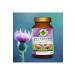 Gokcek Healing Milk Thistle Powder Extract 50 Gr. Glass Jar - Buy Online on GoSupps.com