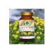 Gokcek Healing Golden Root (Rhodiola) Powder Extract 100 Gr Glass Jar - Buy Online on GoSupps.com