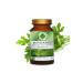 Gokcek Healing Parsley Powder Extract 90 Gr Glass Jar - Buy Online on GoSupps.com