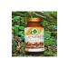 Gokcek Healing Ginseng Powder Extract 100 gr. Glass Jar - Buy Online on GoSupps.com