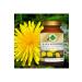 Gokcek Healing Dandelion Powder Extract 70 Gr. Glass Jar - Buy Online on GoSupps.com