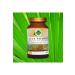 Gokcek Healing Dwarf Palm Powder Extract 100 gr. Glass Jar - Buy Online on GoSupps.com