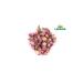 Laraska Bud Rose - Dry Rosebud (ROSE TEA) - Pink 500g - Buy Online on GoSupps.com