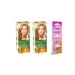 Garnier Color Naturals Set Paint 7-3 Hazelnut Shell 2 Pieces