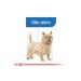 Royal Canin Mini Light Care Diet Adult Dog Food 3 Kg