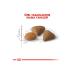 Royal Canin Exigent Cat Food - 4 Kg - Buy Online on GoSupps.com