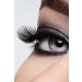 Roesia Rose Cosmetics Rose Sky High Mascara - Buy Online on GoSupps.com