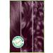 Garnier Nutrisse Intense Nourishing Permanent Cream Hair Dye 4.26 Aubergine Purple - Buy Online on GoSupps.com