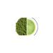 Ginger Organic Matcha Powder Japanese Tea 500 Gr. Original Product Matcha Powder 0.5 Kg. - Buy Online on GoSupps.com