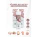 BNICE Anti-Cellulite and Stretch Mark Preventing Firming Gel - Buy Online on GoSupps.com