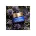Clarins Multi-Active Night Cream Comfort 50 ml Night Cream - Buy Online on GoSupps.com