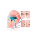 TheBeautyStore Led Mask Photon Therapy Skin Rejuvenation Anti-Wrinkle Acne Scar Spot Removal Face Mask - Buy Online on GoSupps.com