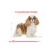 ELA DESIGN Royal Canin Cavalier King Charles Adult Dog Food 1.5 Kg - Buy Online on GoSupps.com