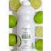 BYPHASSE Family Fresh Green Tea and Lime Shampoo for Normal and Oily Hair 750ml - Buy Online on GoSupps.com