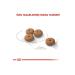 Royal Canin Mini Sterilized Small Breed Sterilized Dog Food 3 Kg - Buy Online on GoSupps.com