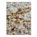 Huzur Nuts Henna Cookie 60gr 50 3kg Wedding Engagement Cookie Henna Cookie Cookie Packaged