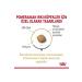 Alisopping Royal Canin Pomeranian Adult Dog Breed Food 1.5 Kg - Buy Online on GoSupps.com