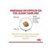 Alisopping Royal Canin Pomeranian Adult Dog Breed Food 1.5 Kg - Buy Online on GoSupps.com