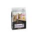 Purina Pro Plan Kitten Junior Chicken Kitten Food 1.5 Kg.
