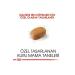 Royal Canin Maltese Adult Dog Food 1.5 kg - Buy Online on GoSupps.com