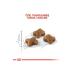 Royal Canin Kitten Cat Food 4Kg - Buy Online on GoSupps.com
