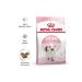 Royal Canin KITTEN - Kitten Food - 4 KG - Buy Online on GoSupps.com