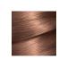 Garnier GARNIER COLOR NATURALS 6.25 CHESTNUT BROWN - Buy Online on GoSupps.com