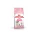 Royal Canin Kitten Cat Food 4Kg