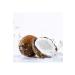 Monin Coconut Syrup 700 ml - Buy Online on GoSupps.com