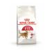 Royal Canin Fit 32 Adult Cat Food 4kg Adult Cat Food For Non-Neutered Cats