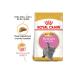 Royal Canin Kitten British Shorthair Kitten Cat Food 2 Kg