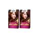 Palette Deluxe 6-70 Brown Copper X 2 Pieces
