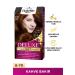 Palette Deluxe 6-70 Brown Copper X 2 Pieces - Buy Online on GoSupps.com