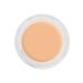 Kryolan Digital Complexion Cream Foundation Cream Foundation 12g 11000 Y25