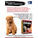 TRm Stride Plus Strude Plus for dogs 500 ml - Buy Online on GoSupps.com