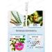 PATYKA Age Specific Intensif cream filler 15 ml (Patics) - Buy Online on GoSupps.com