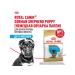 ROYAL CANIN Dog food dry German Shepherd for puppies 3 kg - Buy Online on GoSupps.com