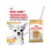 ROYAL CANIN Dog food dry chihuahua adult Chihuahua 3 kg - Buy Online on GoSupps.com