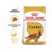 ROYAL CANIN Dog food dry Cocker Cocker Spaniel 3 kg - Buy Online on GoSupps.com