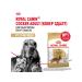 ROYAL CANIN Dog food dry Cocker Cocker Spaniel 3 kg - Buy Online on GoSupps.com